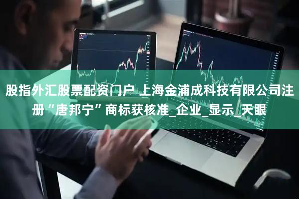 股指外汇股票配资门户 上海金浦成科技有限公司注册“唐邦宁”商标获核准_企业_显示_天眼
