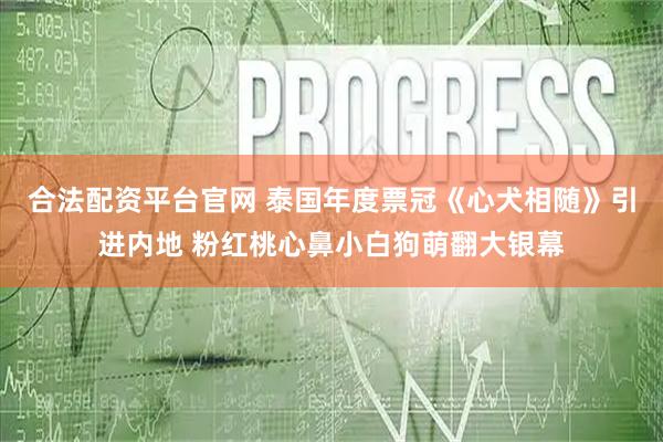 合法配资平台官网 泰国年度票冠《心犬相随》引进内地 粉红桃心鼻小白狗萌翻大银幕