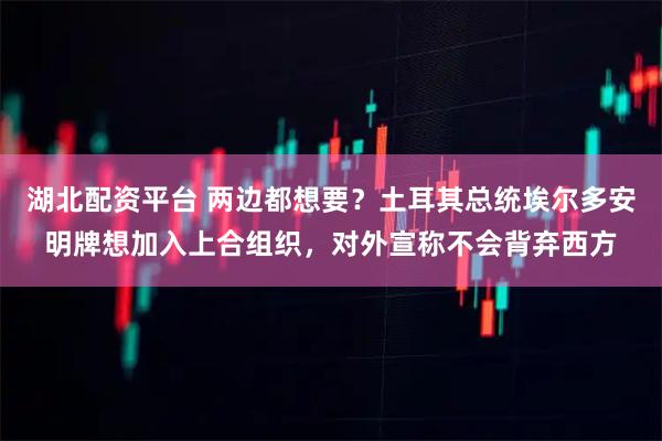 湖北配资平台 两边都想要？土耳其总统埃尔多安明牌想加入上合组织，对外宣称不会背弃西方